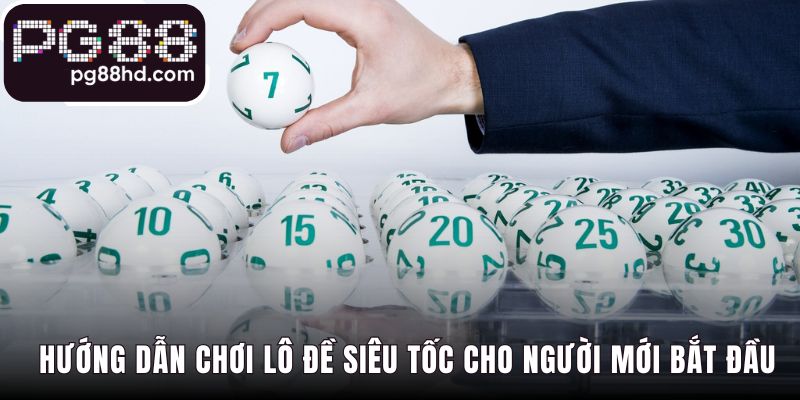 Các hình thức cược phổ biến từ Bao đến Xiên