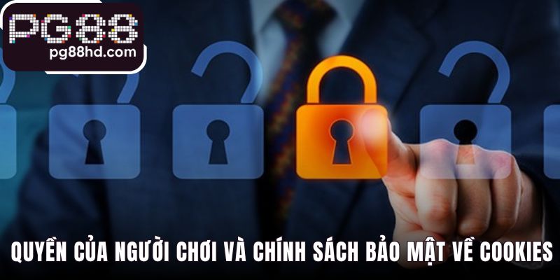 Chính sách bảo mật đảm bảo quyền truy cập và sửa đổi dữ liệu